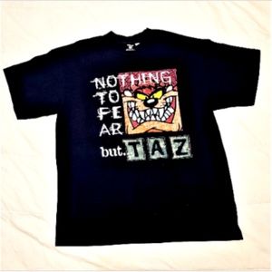 Vintage Taz Tasmanian Looney Tunes Studio Store